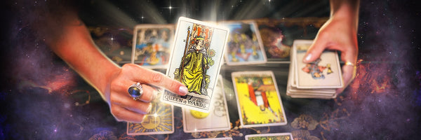 Tarot Guide. The Divine Bubble Metaphysical Boutique and Healing Center. Warren is awesome. 