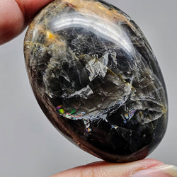 Black Moonstone Palmstones - Gentle, Protective, & Grounding