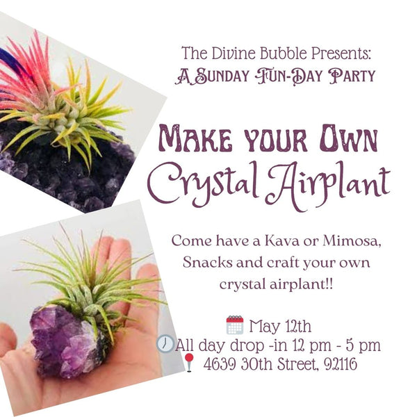 🌱💎 May 12th 🌱💎 Make your Own Crystal Air-plants - A Sunday Fun-Day Party!