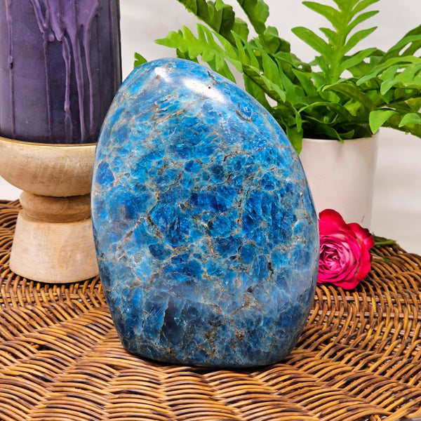 Blue Apatite Freeform - Connect With Your Truth