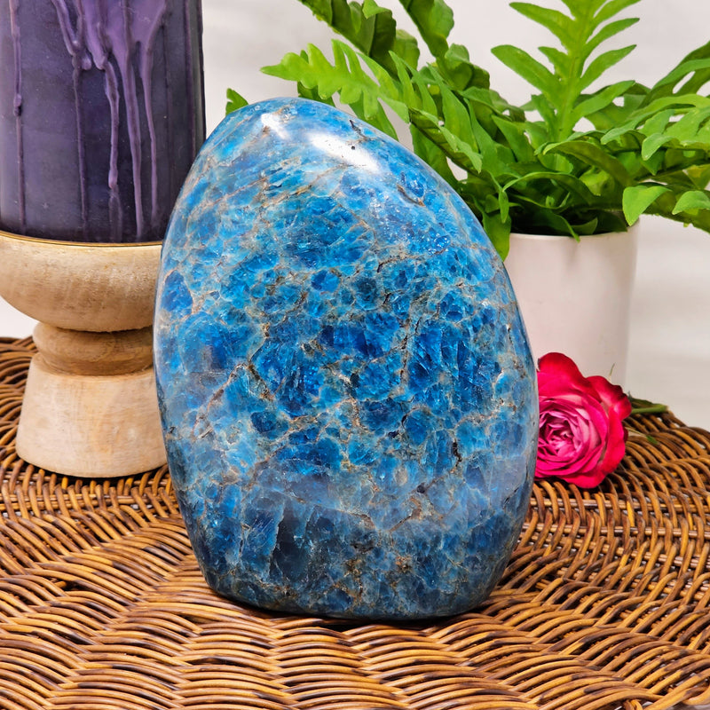 Blue Apatite Freeform - Connect With Your Truth
