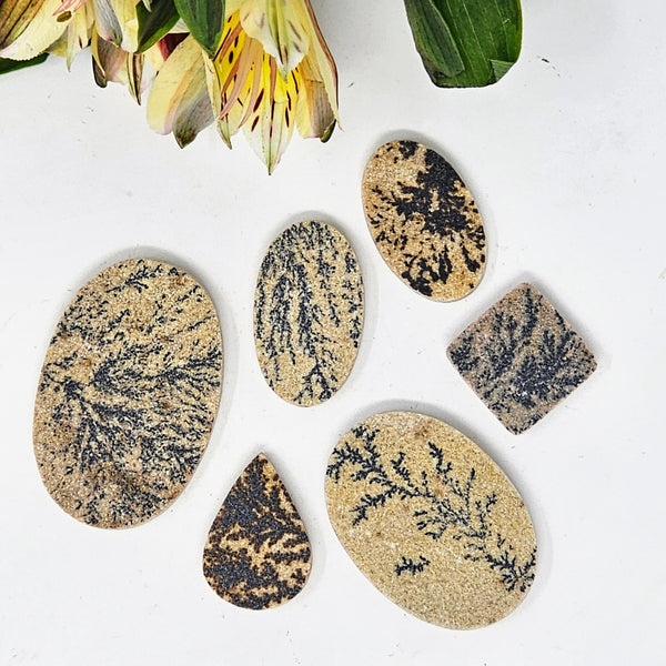 Dendritic Agate Bra Stones - For Anyone Serious About Inner Work