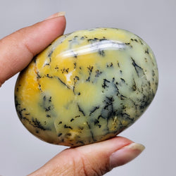 Dendritic Opal Palmstones - A Rebirth of Strength