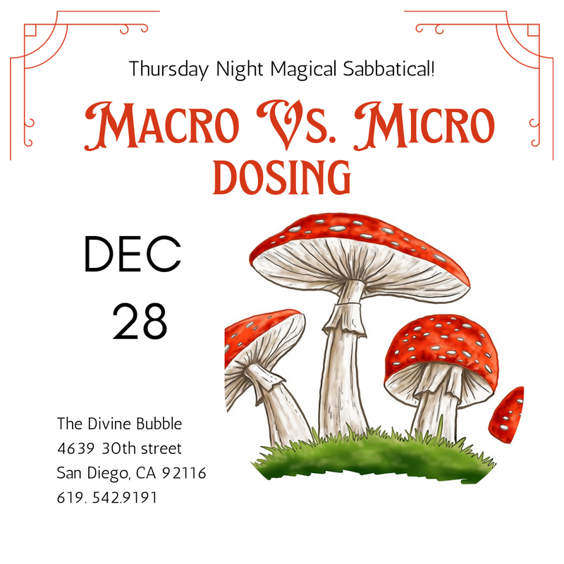🌈 December 28th 🍄 Macro Vs Micro Dosing - Thursday Night Magical Sabbatical