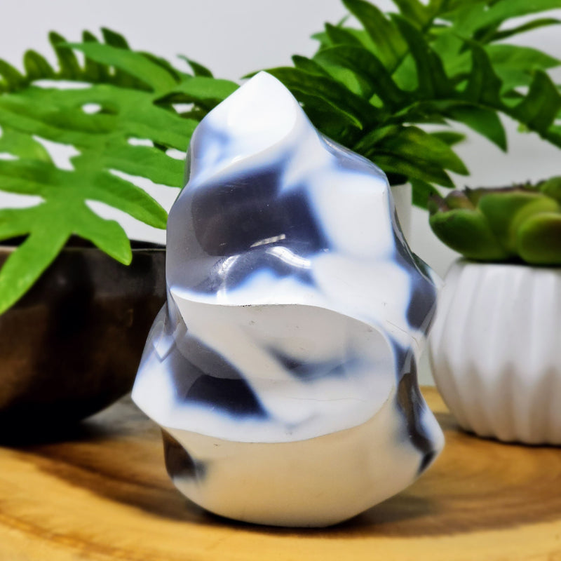 Orca Agate Flames - Connect To Your Spiritual Flow