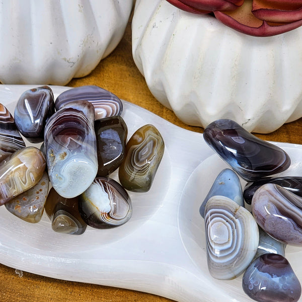 Orca Agate Tumbled Stones - Tune In To Your Flow