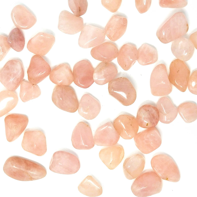 Rose quartz tumbled stones scattered on white background
