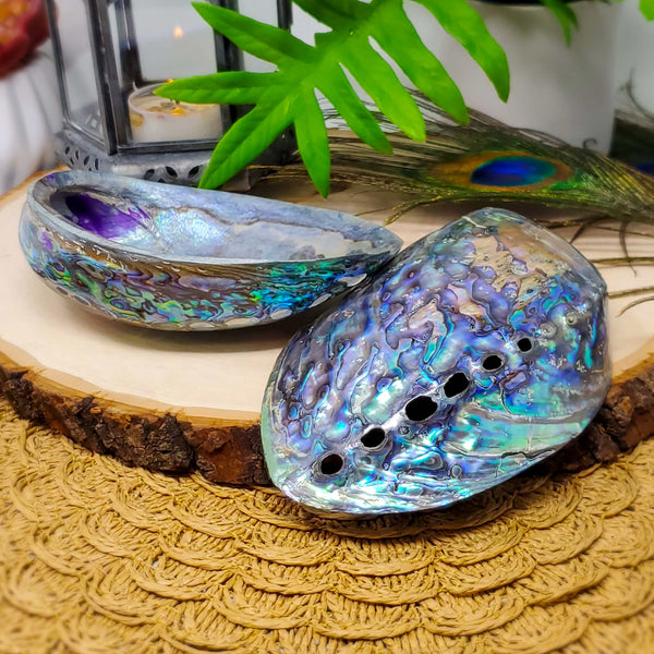 Abalone Shell - For Creating A Sanctuary