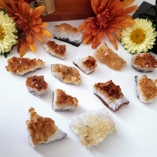 Baby Citrine Clusters in a variety of sizes with orange and yellow flowers on a white background