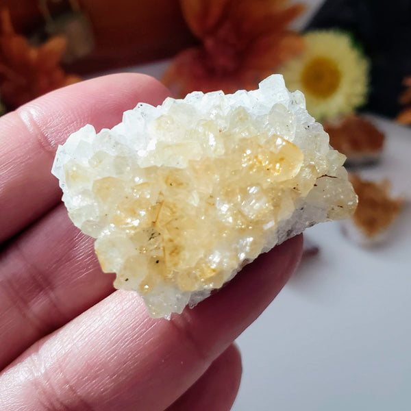 A hand holding up a Baby Citrine Cluster 