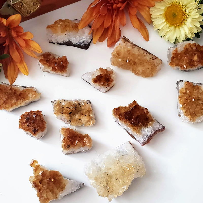 A wide variety of sizes of Baby Citrine Clusters surrounded by fresh flowers, on a white background