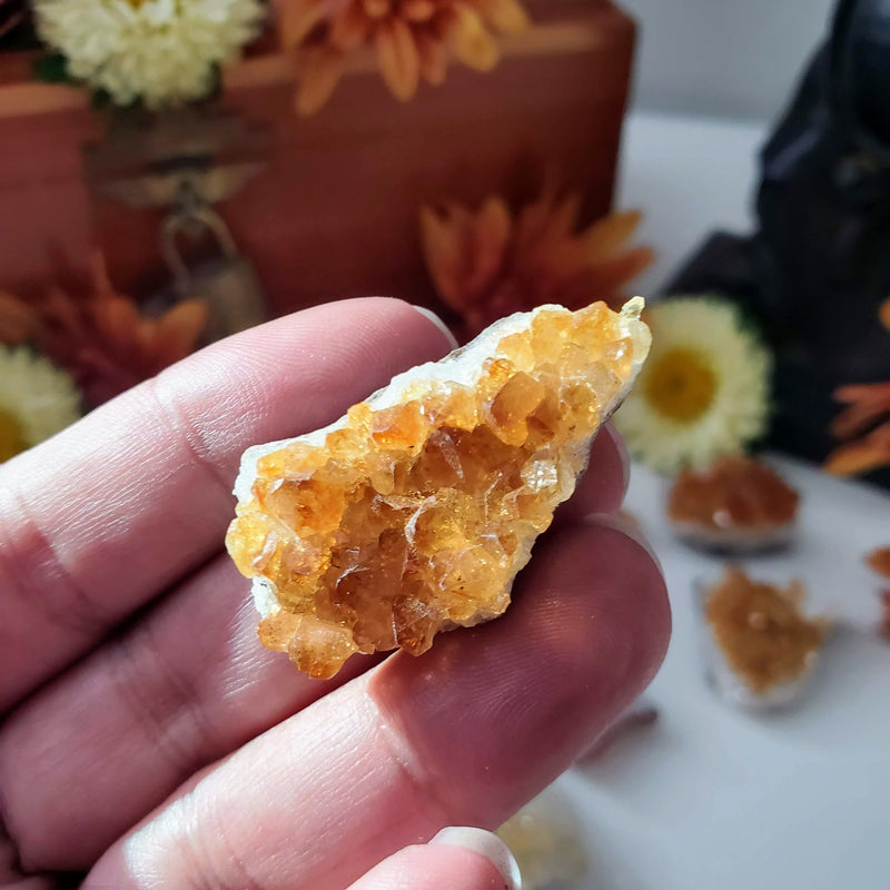 A hand holding up a Baby Citrine Cluster with more clusters, orange and yellow flowers, and a wooden box in the background