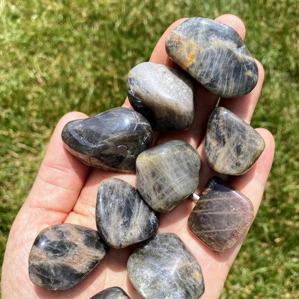 Black Moonstone Tumbled Stones - A Powerful Protector