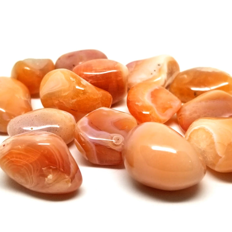 Carnelian Tumbled Stones scattered on a white background