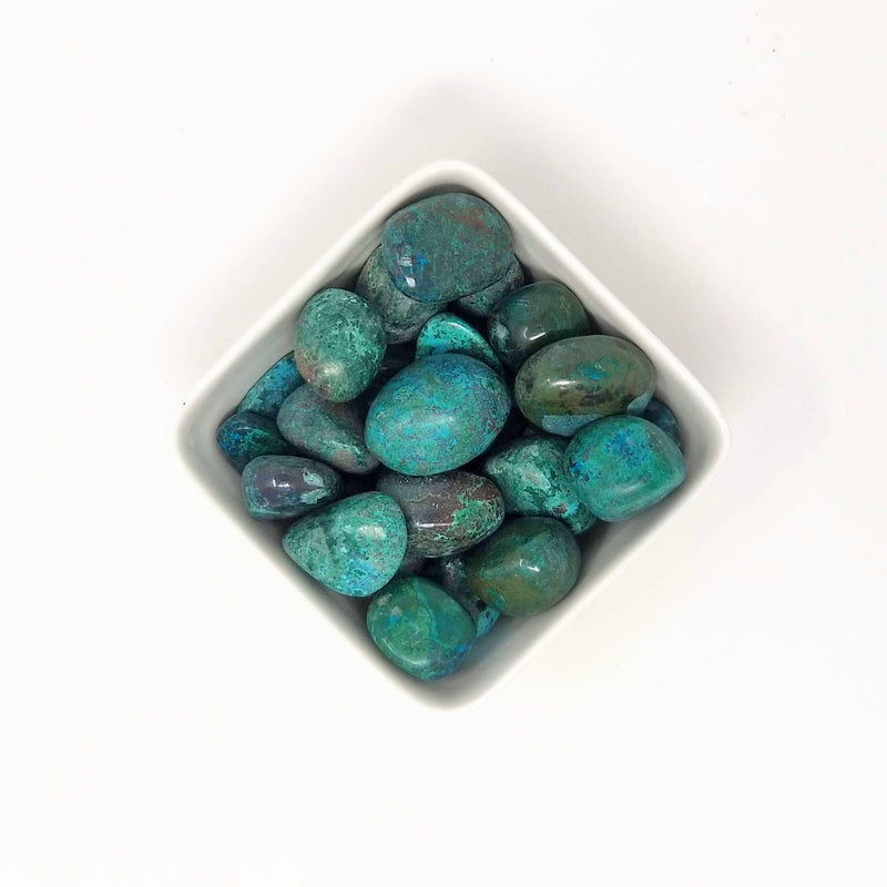 A white square bowl filled to the brim with tumbled Chrysocolla on a white background