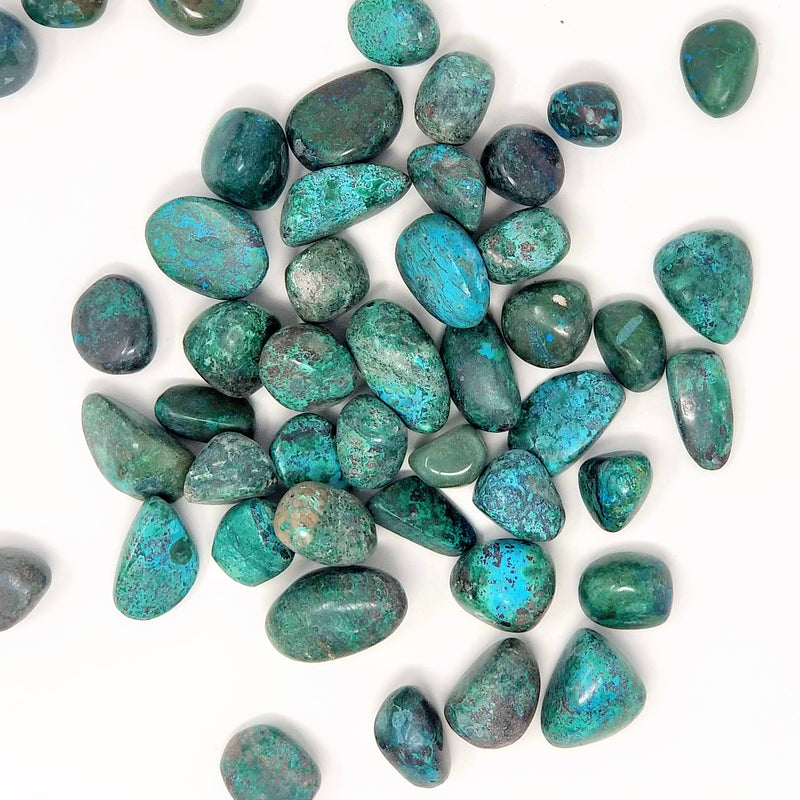 Tumbled Chrysocolla strewn about on a white background