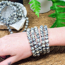 5 Dalmatian Jasper round bead bracelets adorn a wrist, with more bracelets draped over a stunning Apophyllite specimen in the background