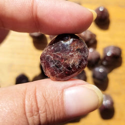 A close up of a Garnet Tumbled Stone held between a forefinger and thumb in front of more tumbled Garnet on a stained wood background