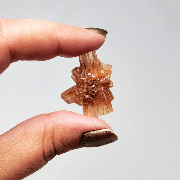 An Aragonite Star Baby Cluster held up between a forefinger and thumb in front of a white background