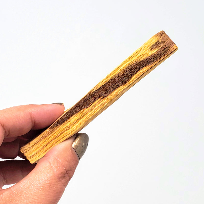 5 inch palo santo stick in hand
