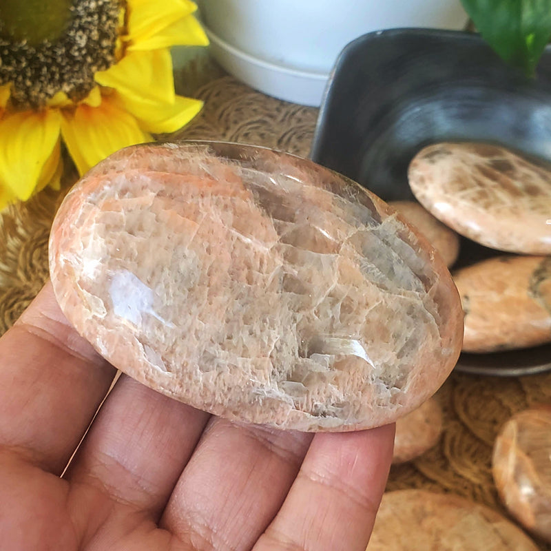 A close up of a Peach Moonstone palm stone sitting in an open hand, with more palm stones in the background