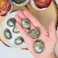 3 different sizes of Pyrite palm stones lined up in a open palm, with a tray of Pyrite palm stones and potted succulents in the background