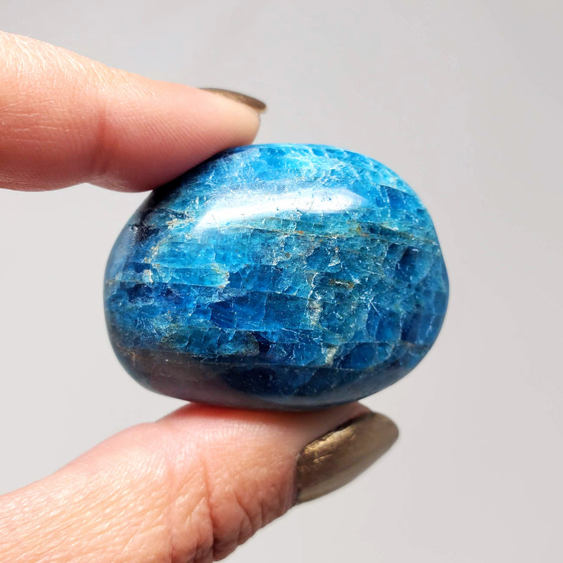 Blue Apatite Palmstones - Make Your Dreams A Reality