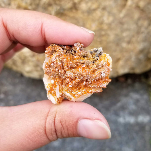 A gorgeous Vanadinite Baby Cluster held up between a forefinger and thumb, with rocks in the background